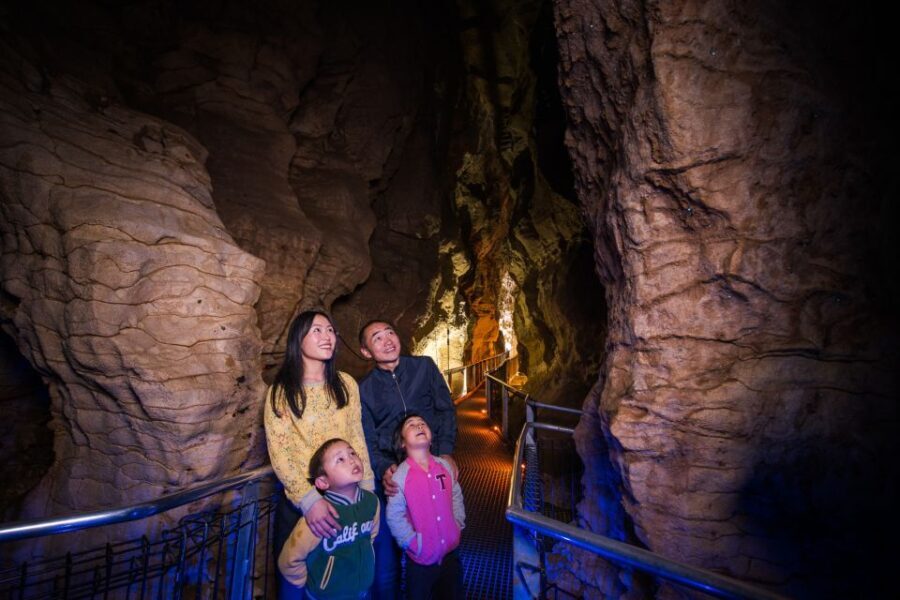 Waitomo Caves: Ruakuri Cave 1.5 Hour Guided Tour - The Allure of Ruakuri Cave: Beyond the Surface