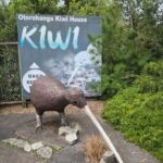 Waitomo: Caves to Kiwis eBike ride - Final Thoughts