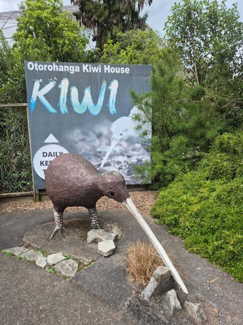 Waitomo: Caves to Kiwis eBike ride - Final Thoughts