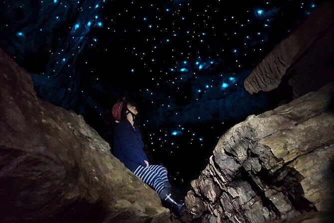 Waitomo - Eco Adventure Glowworm Cave Tour - Off the Beaten Track - The Itinerary: What to Expect