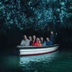 WAITOMO GLOWWORM CAVES & HAMILTON GARDENS - PRIVATE TOUR - What Makes This Tour Stand Out