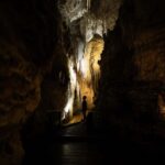 WAITOMO GLOWWORM & RUAKURI CAVES-PRIVATE TOUR FROM AUCKLAND - What We Loved About This Tour
