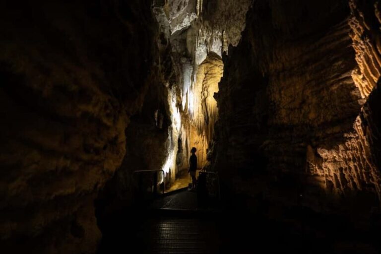 WAITOMO GLOWWORM & RUAKURI CAVES-PRIVATE TOUR FROM AUCKLAND - What We Loved About This Tour