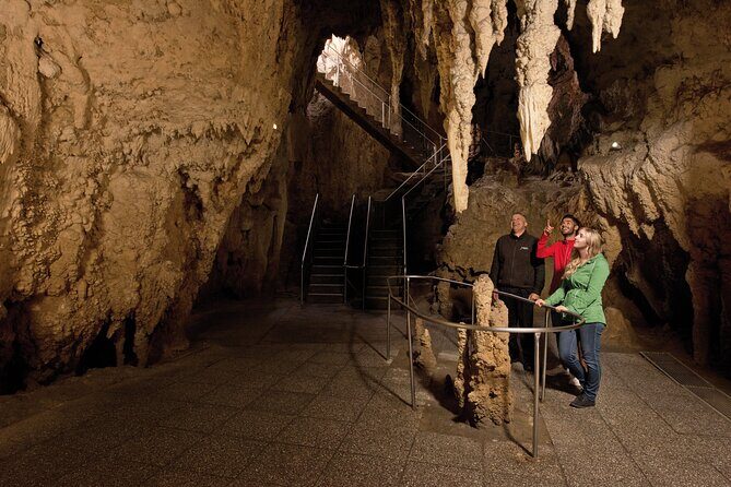 Waitomo Glowworm & Ruakuri Twin Cave Small Group Tour Ex-Auckland - Who is This Tour Best For?
