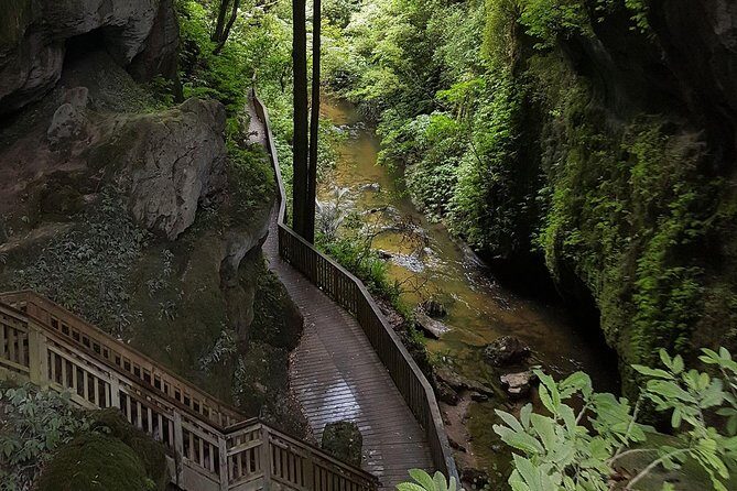 Waitomo & The King Country Exclusive Luxury Day Tour from Auckland - Who Will Love This Tour?