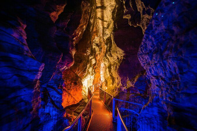 Waitomo Triple Cave Experience - Private Tour From Auckland - Final Thoughts