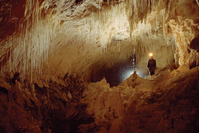 Waitomo - Twin Caves Discovery - Private Day Tour from Auckland - FAQs