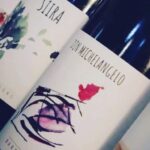 Walk among the rows of vineyards and wine tasting - Who Will Enjoy This Tour?