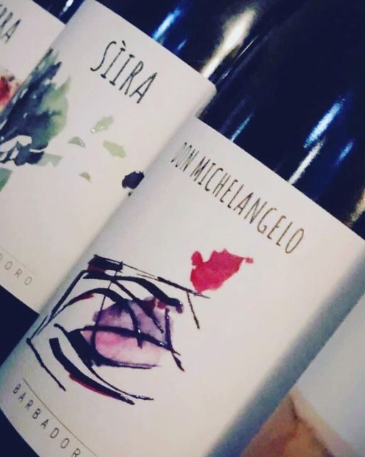 Walk among the rows of vineyards and wine tasting - Who Will Enjoy This Tour?