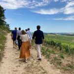 Walk in the vineyards of Chablis Grands Crus - Exploring the Chablis Grands Crus Tour in Depth