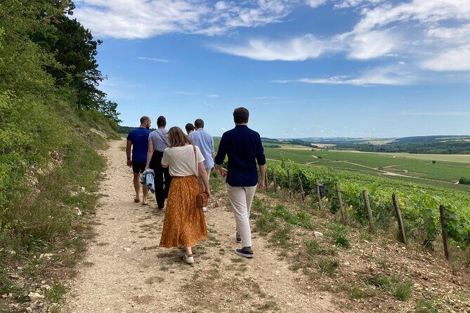 Walk in the vineyards of Chablis Grands Crus - Exploring the Chablis Grands Crus Tour in Depth