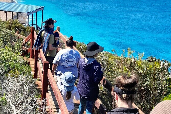 Walk on Country at Taananeditj (Rotary Lookout) - Bush Tucke r and Indigenous Foods