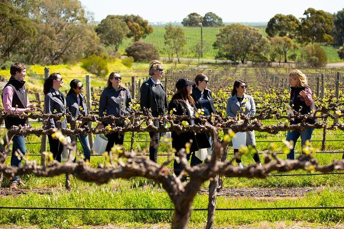 Walk, Taste, Graze - Experience at Pindarie - Who Will Appreciate This Tour?