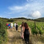 Walk through our vineyard and aperitif - An In-Depth Look at the Vineyard Tour Experience
