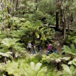 Walk with Wildlife: Guided Tour in Great Ocean Road - Final Thoughts: Why This Tour Is Worth Your Time
