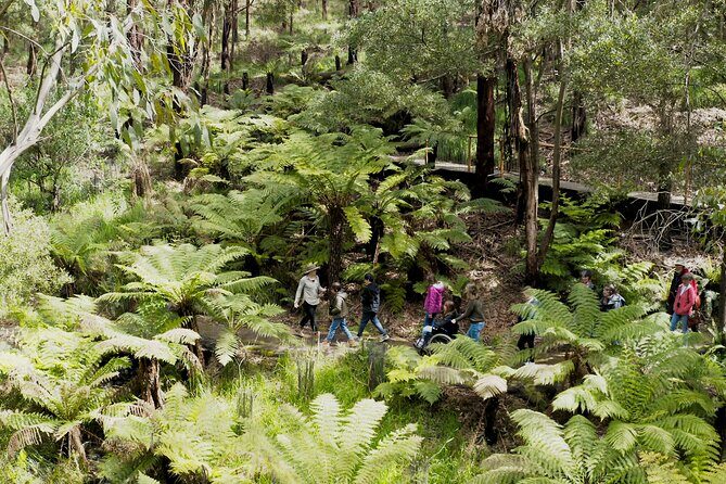 Walk with Wildlife: Guided Tour in Great Ocean Road - Final Thoughts: Why This Tour Is Worth Your Time
