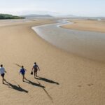 Walkabout Cultural Adventures - Ngana Julaymba Dungay Full Day - Exploring the Daintree and Beyond: What to Expect