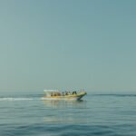 Walking & boat tour - visit Ston Walls and taste shells on farm - The Sum Up