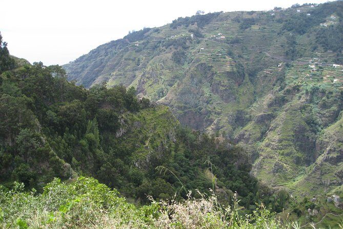 Walking Experience in the Serra D'Água Valley - In-Depth Review of the Serra DÁgua Valley Walk
