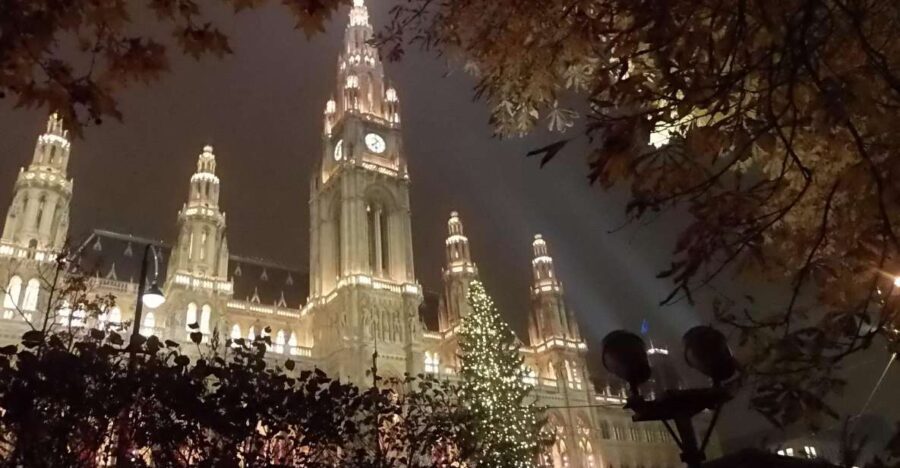 Walking on the historical trail of Viennese Christmas Trees - Practical Details and Considerations