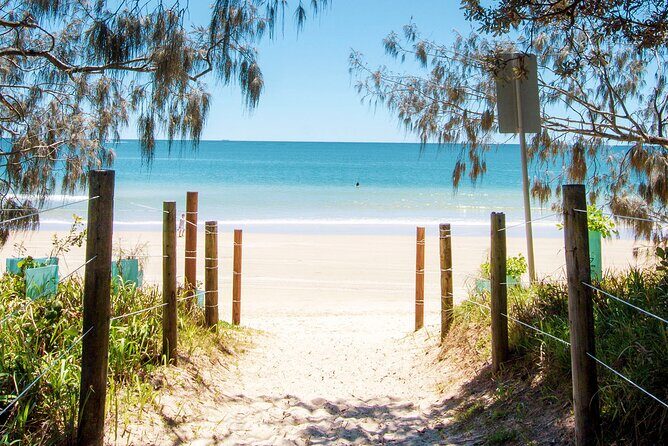 Walking Photography Tours of Mooloolaba and Alexandra Headland - An In-Depth Look at the Walking Photography Tour