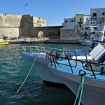 Walking tour in the wonderful Monopoli: Nice cosy Italian old town - Analyzing the Value