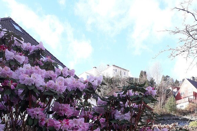 Walking tour: Medieval Spirit of Bergen + sweet Arctic gifts - FAQ