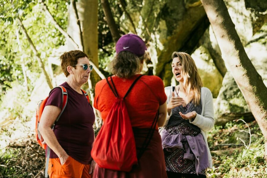 Walking tour:Pena Palace, Moorish Castle,Quinta da Regaleira - Analyzing the Value: What Does the Price Cover?