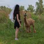 Walking with Alpacas in Turin: an experience of nature in the city - Who Will Love This Tour?