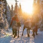 Walking with Reindeer Experience - Who Will Love This Tour?