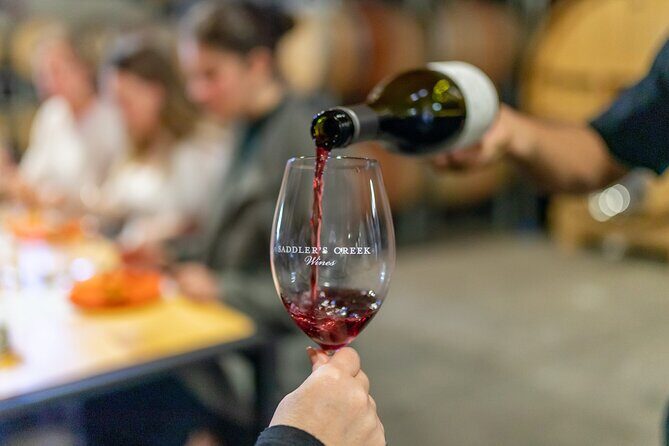 Wallabies and Wine Hunter Valley Adventure Private Tour - What Travelers Say