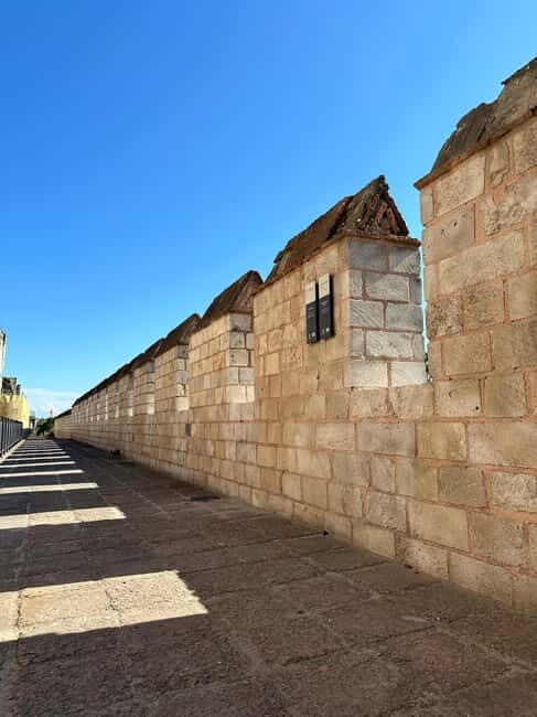Walls of Contantinople and Byzantine Palace Tour - Who Should Consider This Tour?