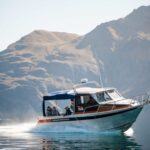 Wanaka: Water Taxi & Mou Waho Island Tour - Setting the Scene: Wanaka’s Natural Charm