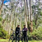 Warburton: Redwood Forest Mountain Bike Adventure - Key Points