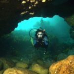 Warkworth: Full-Day Scuba Dive Charter at Hen and Chickens - Exploring the Full-Day Dive Experience