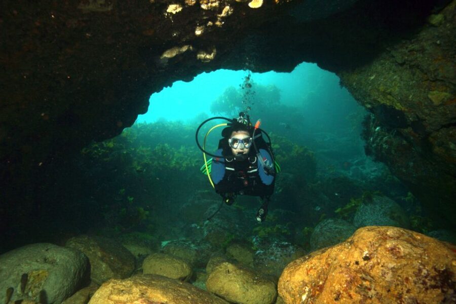 Warkworth: Full-Day Scuba Dive Charter at Hen and Chickens - Exploring the Full-Day Dive Experience