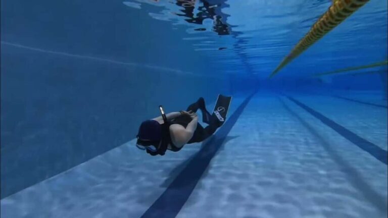 Warkworth: SSI Basic Freediving Course - An In-Depth Look at the Experience in Warkworth