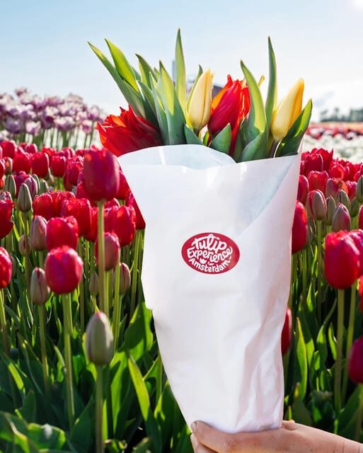 Warmond: Kagerplassen Cruise with "Tulip Experience" Ticket - A Closer Look at the Experience