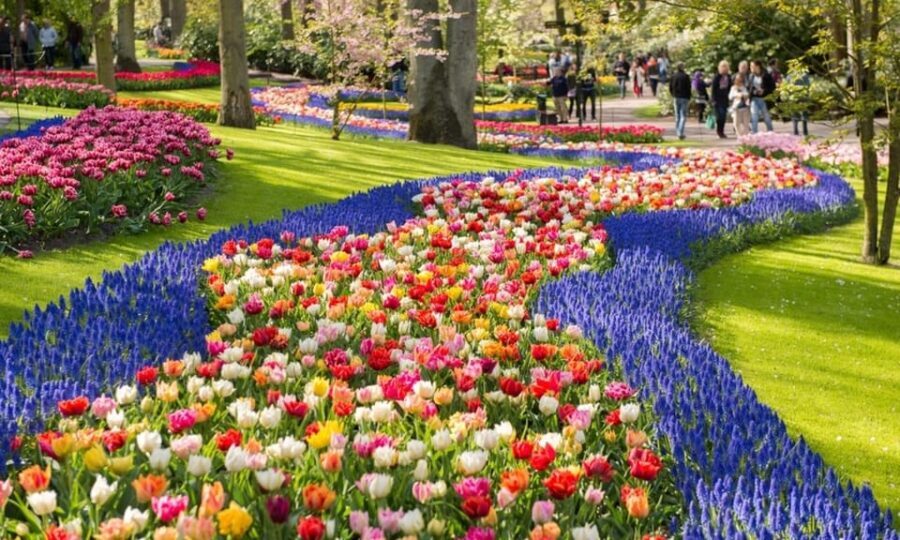 Warmond: Windmill Cruise and Keukenhof Entry Ticket - The Sum Up