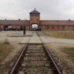 Warsaw: Auschwitz-Birkenau and Krakow Tour by Car - Why This Tour Offers Real Value