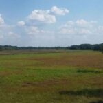 Warsaw: Bialowieza National Park and European Bison Tour - Who Should Consider This Tour?