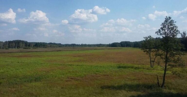 Warsaw: Bialowieza National Park and European Bison Tour - Who Should Consider This Tour?