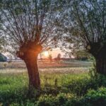 Warsaw: Half-Day Private Chopin Tour to Zelazowa Wola - FAQ