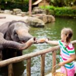 Warsaw Zoo Skip-the-Line Entry Ticket with Private Transport - Who Will Love This Tour?