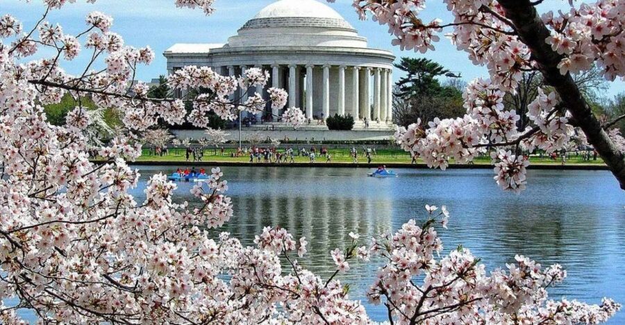 Washington DC: Cherry Blossom Walking Tour - Who Should Consider This Tour?