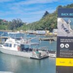 Water Taxi and Shuttle to Larnach Castle - A Detailed Look at the Water Taxi and Shuttle to Larnach Castle