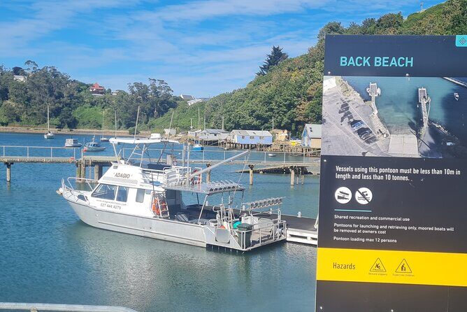 Water Taxi and Shuttle to Larnach Castle - A Detailed Look at the Water Taxi and Shuttle to Larnach Castle