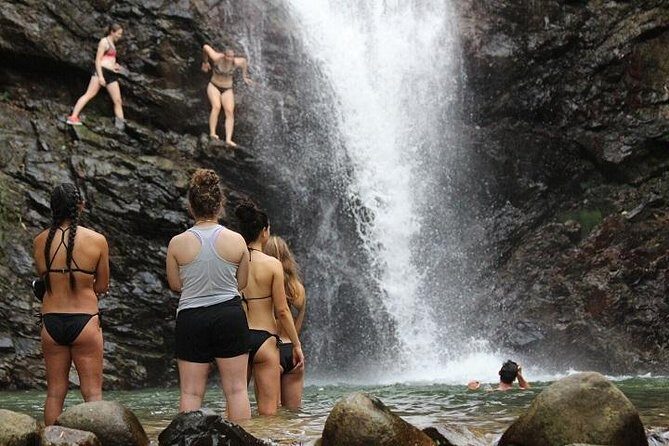 Waterfall and Fijian Village Tour with Light Lunch ex Nadi Area Hotels - What We Love About This Tour
