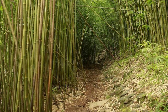 Waterfall and Rainforest Adventure - The Sum Up