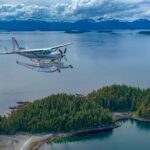 Waterfall Creek Brown Bear Viewing Juneau - What Sets This Tour Apart?